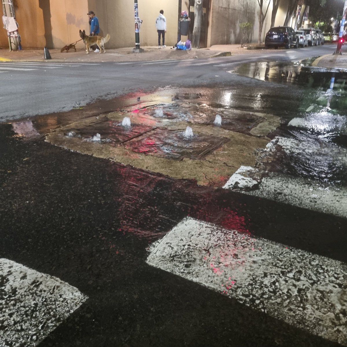 VAGALITOS's tweet photo. @SacmexCDMX @AlcaldiaMHmx @conagua_mx @GobCDMX La fuga es sobre el arroyo vehicular https://t.co/jCWxhQsTv6