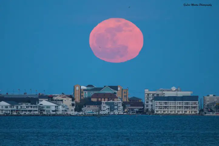 The pink full moon tonight here in OC. 📸 Photo by Lori Martin Photography. #fullmoon #oceancitymaryland #ocean #beach