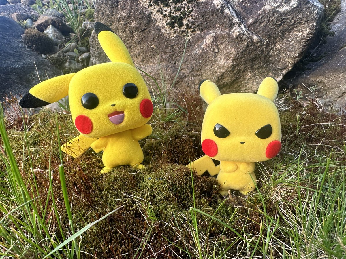 It’s #poptwinstuesday 🥳 It was a sunny day here in the PNW and these two adorable yellow boys were spotted out in the yard 💛

#Pokemon #Pikachu #funko #funaticofthemonth @OriginalFunko
