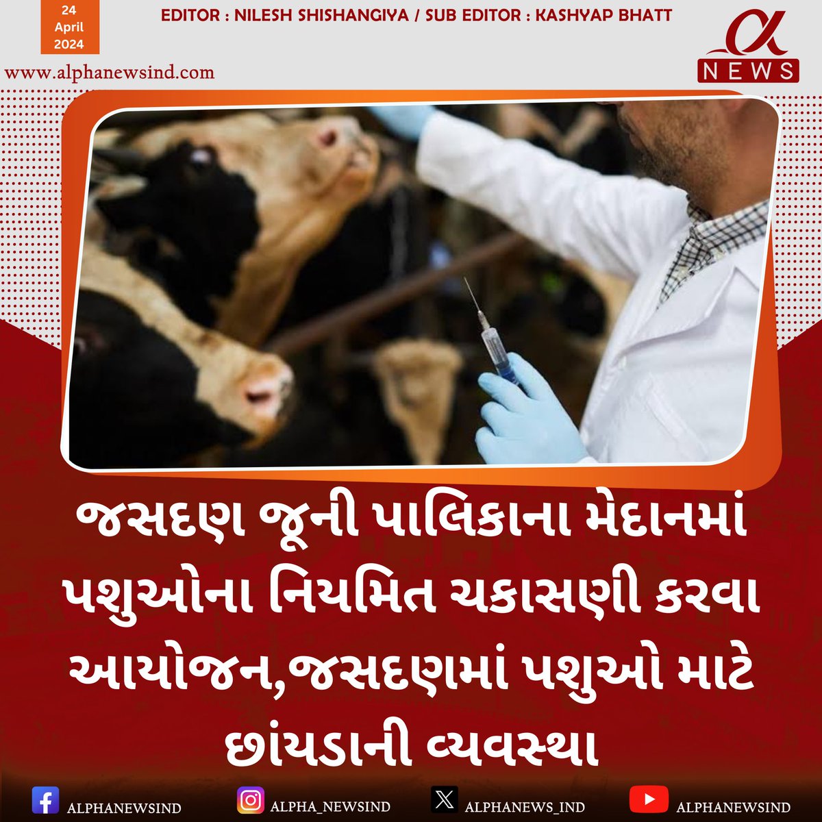 AlphaNews_IND's tweet photo. #alphanews #alphanewsind https://t.co/Vv3dHPBVKB