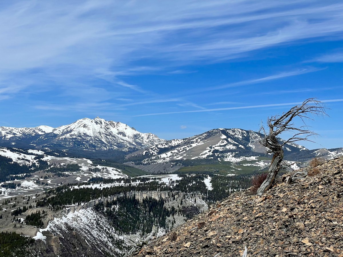 Today’s view of Electric Peak and Sepulcher Peak from Bunsen Peak in Yellowstone National Park.