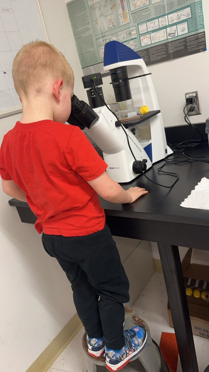 Heather Wilkins (@drheaterw) on Twitter photo “Mommy I see a 🧠”
“No those are neurons buddy but we can learn all about the 🧠”
Start them young <a href="/Momademia/">Academic Mom, PhD</a> “Mommy I see a 🧠”
“No those are neurons buddy but we can learn all about the 🧠”
Start them young <a href="/Momademia/">Academic Mom, PhD</a>