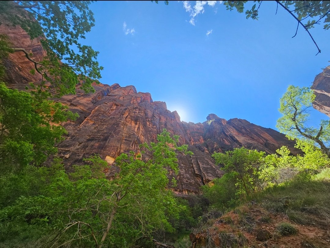 indian1629's tweet photo. #zionnationalpark :) was a fantastic day , way over my reg daily step target! #hikemore ☺️ https://t.co/wnWttGddIn