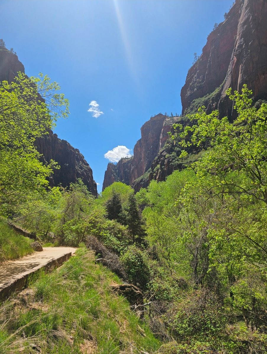 indian1629's tweet photo. #zionnationalpark :) was a fantastic day , way over my reg daily step target! #hikemore ☺️ https://t.co/wnWttGddIn