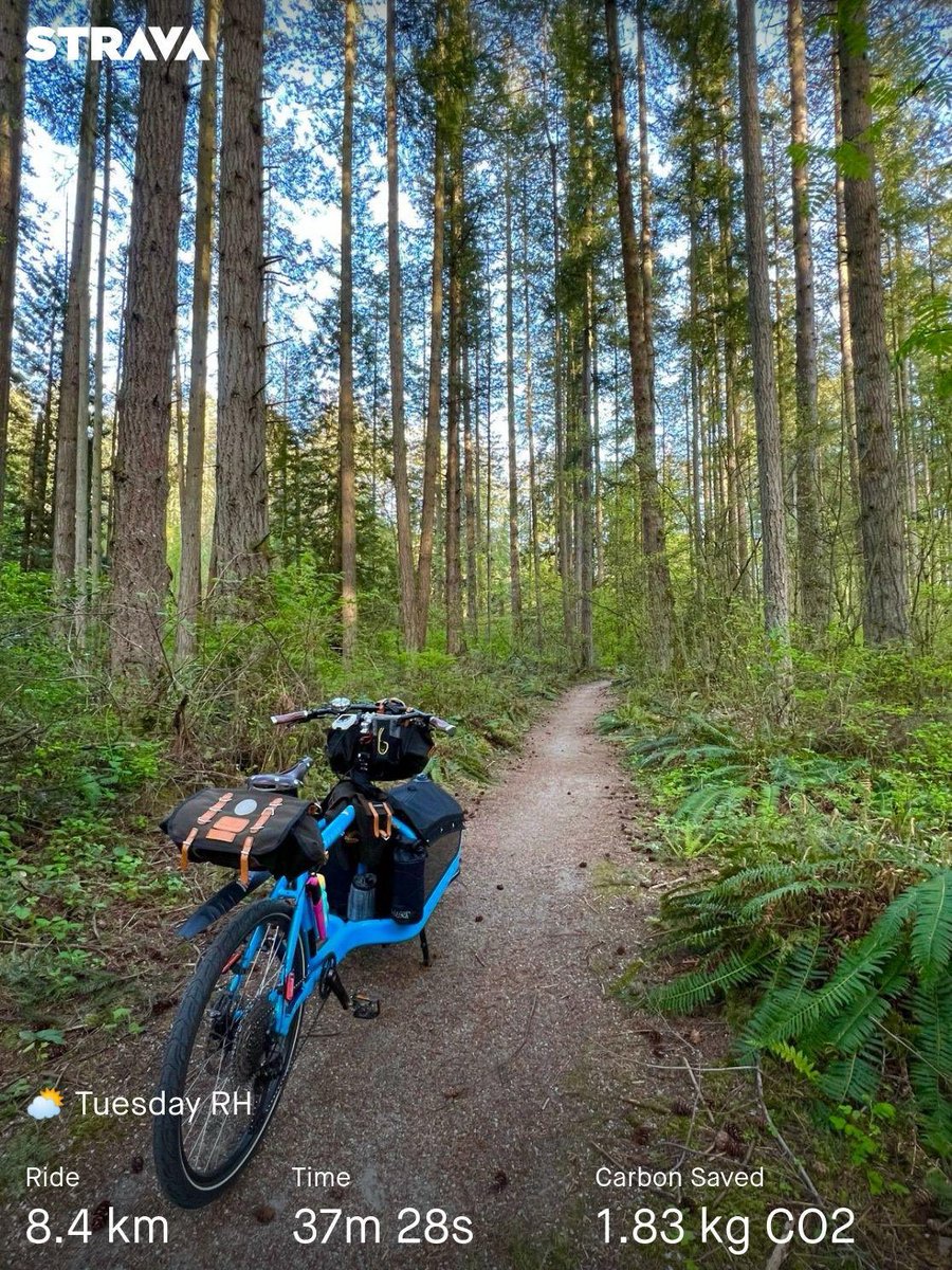 Tuesday RH through Sunnyside Urban Acres. #cargobikes #bluebird #longjohn #bullitt #larryvsharry #surreybc #cityofsurrey #cityofparks #bikeyvr #cyclevancouver #ridetowork #bikecommuter #biketowork #ilovemycommute 
strava.app.link/7OhxrPgU2Ib