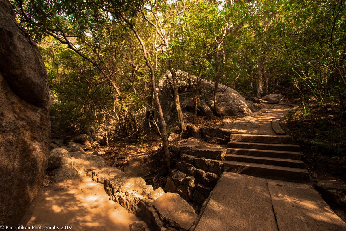 The 2,200-year-old #ancientruins of Ritigala monastery are a pristine site of past #Buddhist worship in #SriLanka. The best time to visit is in the early-morning with the light of dawn filtering through the trees on the mountain.

#photooftheday #travelphotography #TravelTuesday