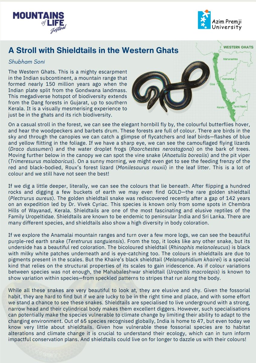 Penned down a short piece after a really long time - and thoroughly enjoyed it!!! #herpetology #westernghats #shieldtails