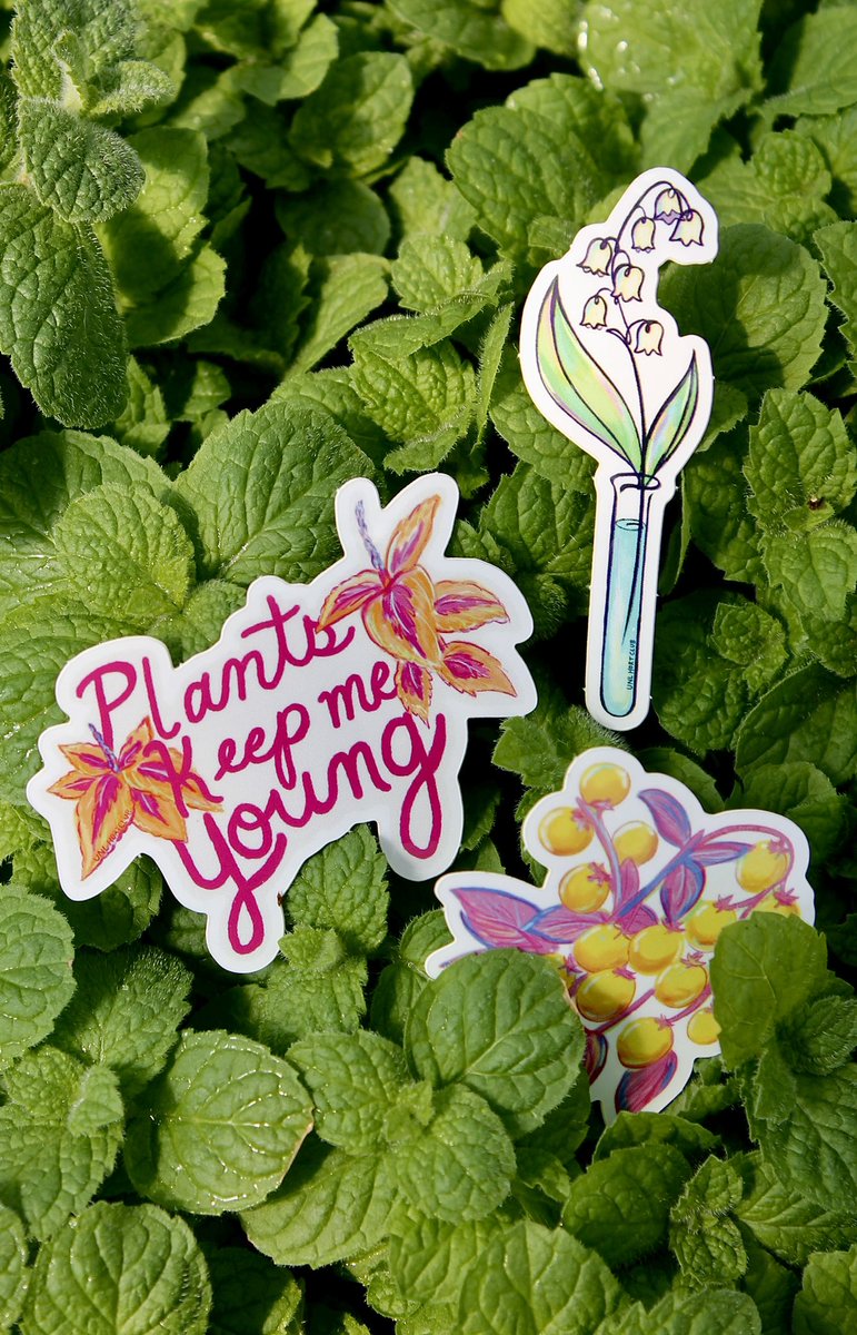UNL_Hort_Club's tweet photo. Calling all sticker fans!! We will have 3 uniquely designed spring-themed stickers available at our upcoming Spring Bedding Sale.
$2 for 1 Sticker 
$5 for 3 Stickers
They will be available for purchase at either checkout booth during the sale (while supplies last). See you there! https://t.co/n5KQbkqtX9