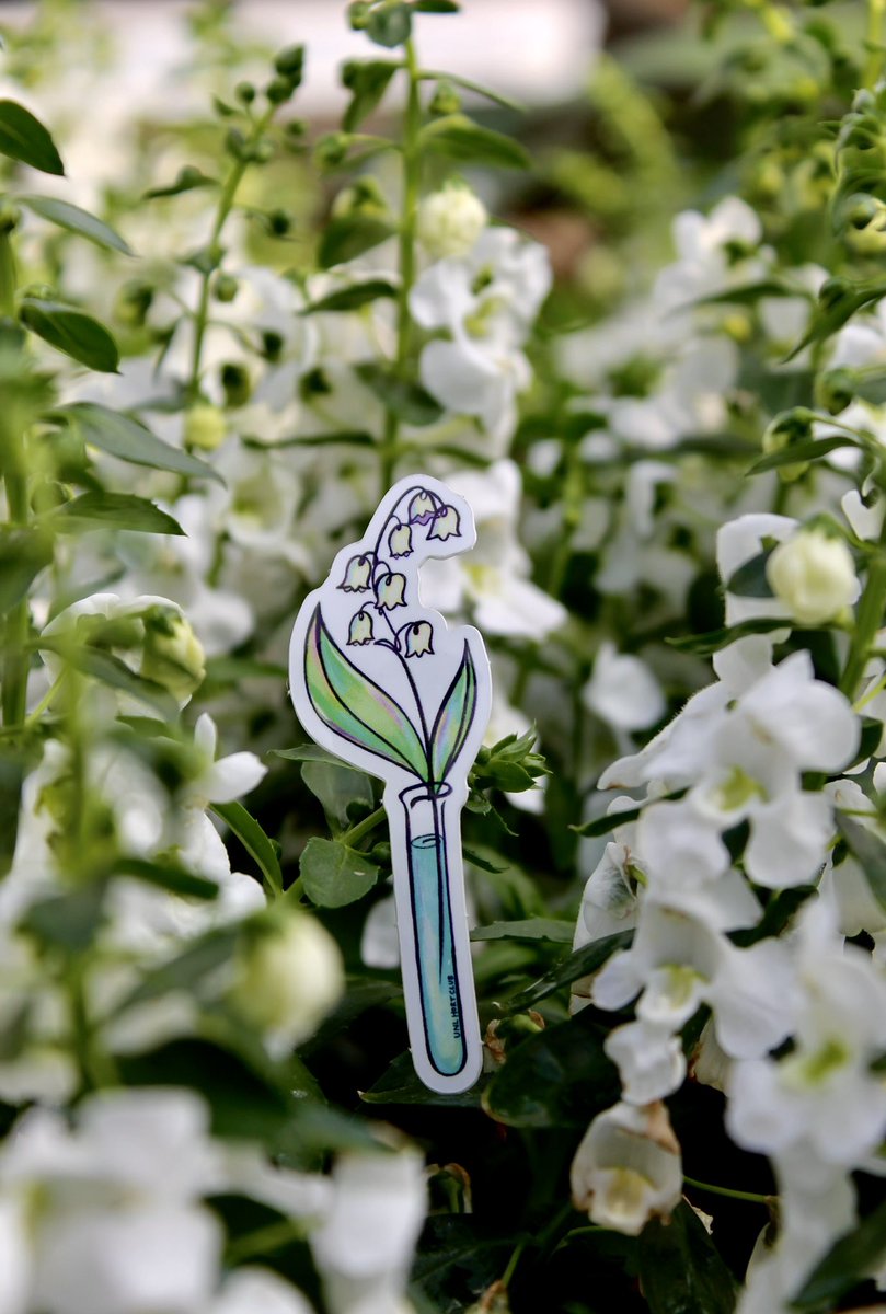 UNL_Hort_Club's tweet photo. Calling all sticker fans!! We will have 3 uniquely designed spring-themed stickers available at our upcoming Spring Bedding Sale.
$2 for 1 Sticker 
$5 for 3 Stickers
They will be available for purchase at either checkout booth during the sale (while supplies last). See you there! https://t.co/n5KQbkqtX9