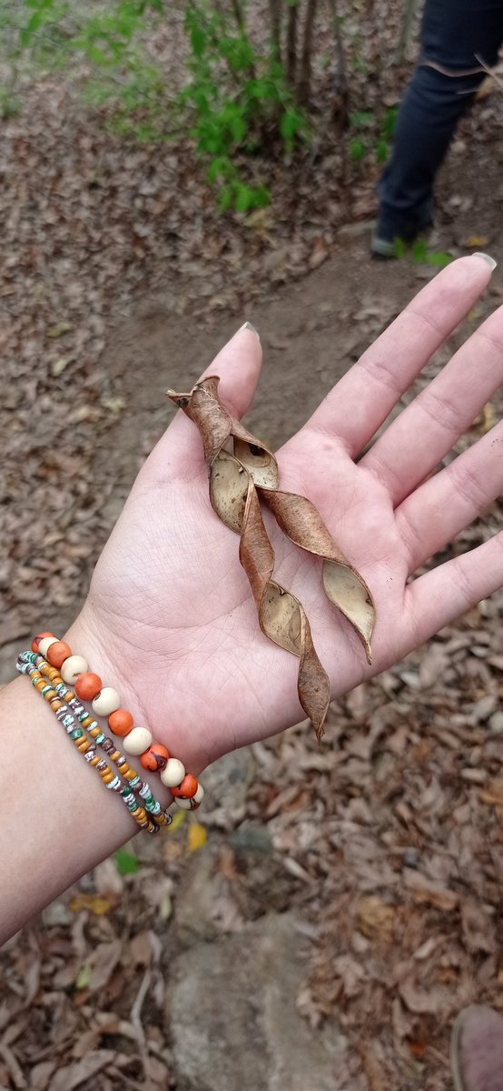 #DiaDeLaTierra en Iyulutepet, San Pedro Nonualco, compartiendo sobre mi experiencia en el Cerro Tecana con el proyecto Suma Un Bosque🌳🦋