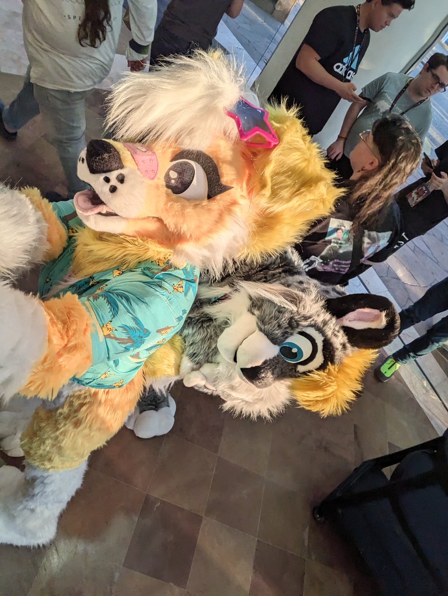 POV: You own a tail :3 Photo and suit: @Millie_K9 #Furdu2024