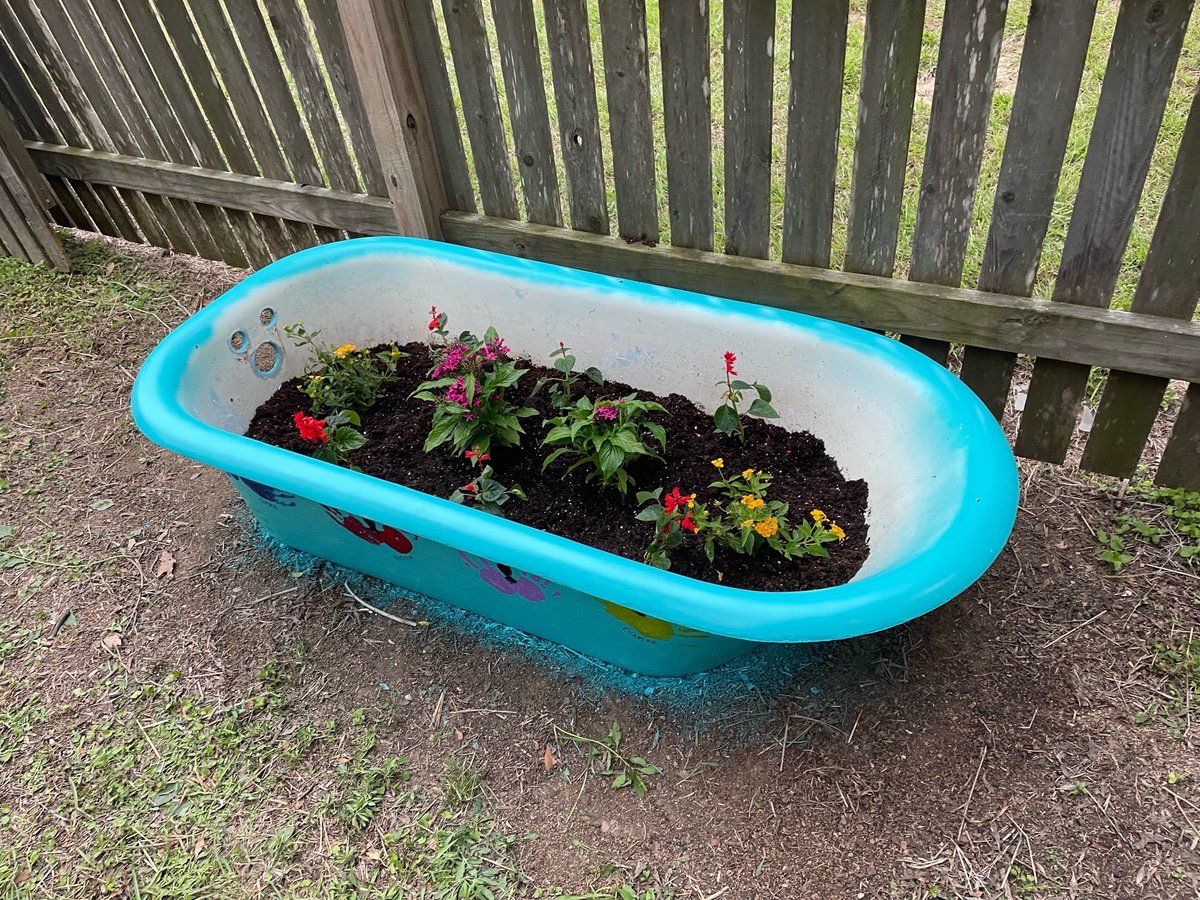 Mossman Elementary tweet media