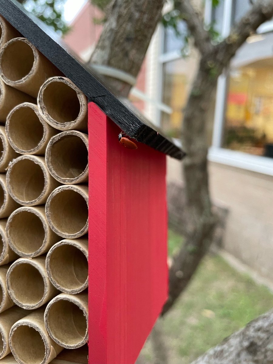 Mossman Elementary tweet media