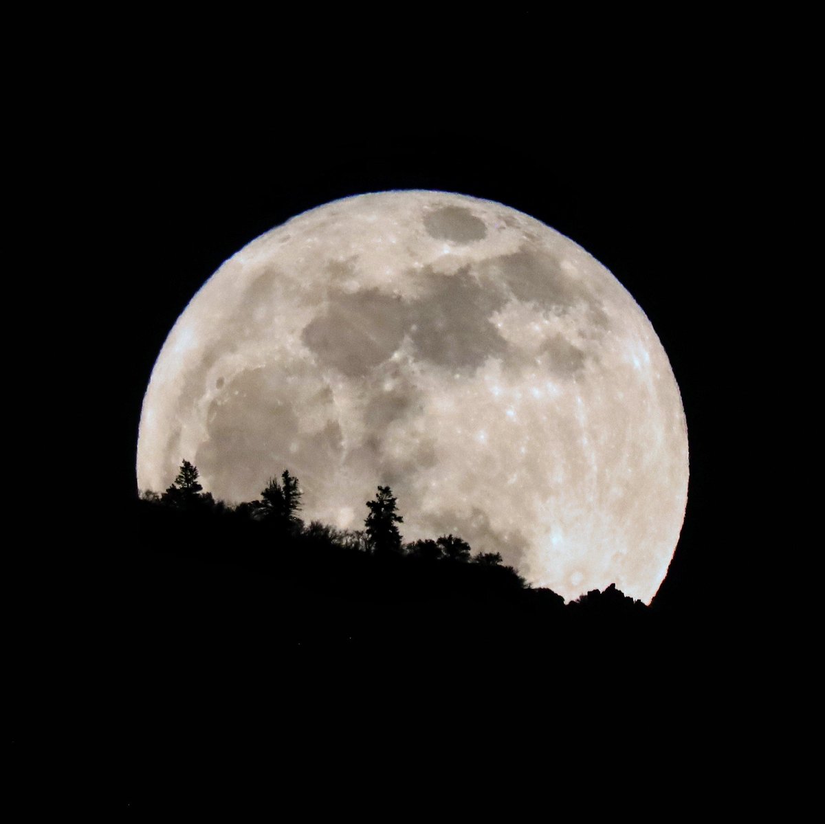 The Farmer's Almanac says the full moon in April is the pink moon. Well okay then. Here it is rising over Mount Olympus on April 23, 2024.
@KSLTV @fox13 @abc4utah @KUTV2news