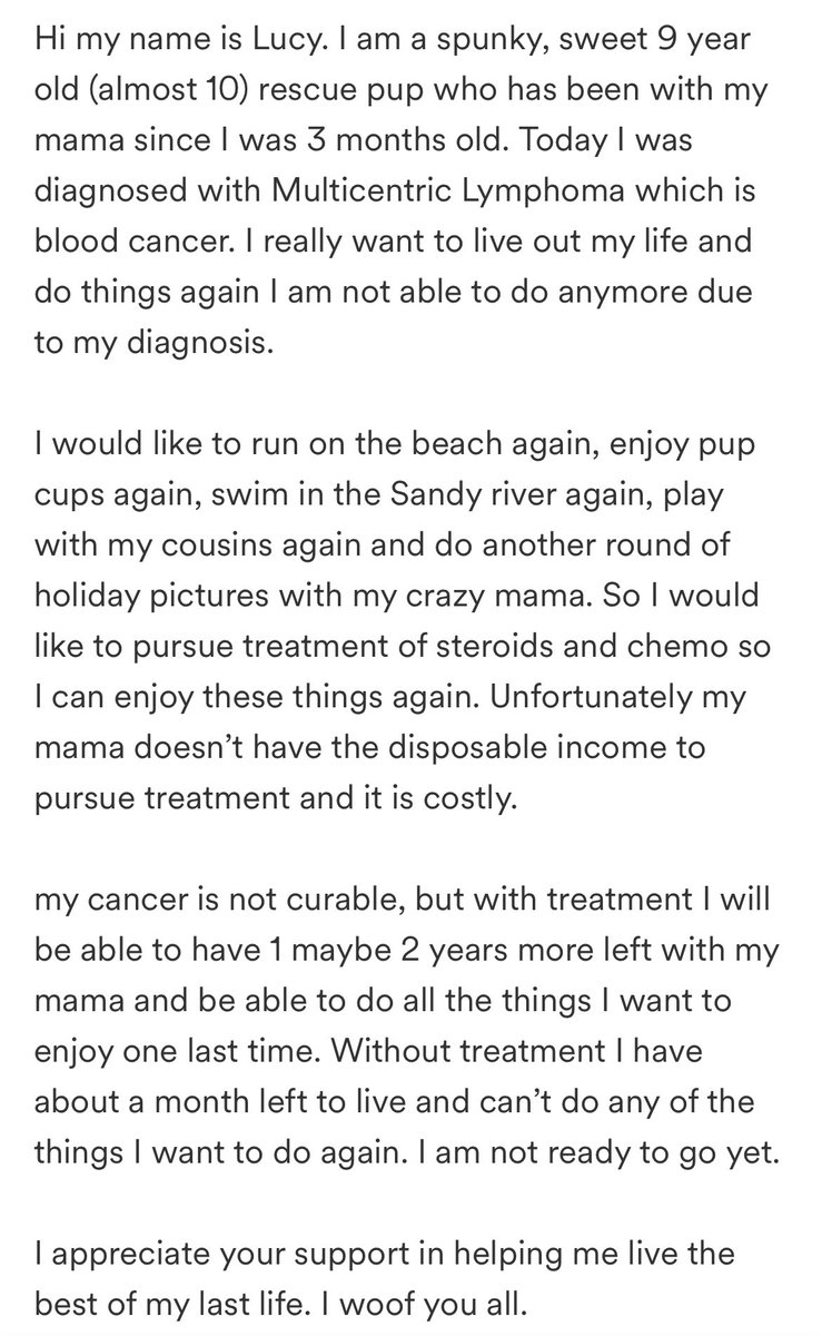 HistoryChick41's tweet photo. https://t.co/oZ7Kf8DR8r #SaveLucy #cancersucks https://t.co/1RAlOxkKJ0