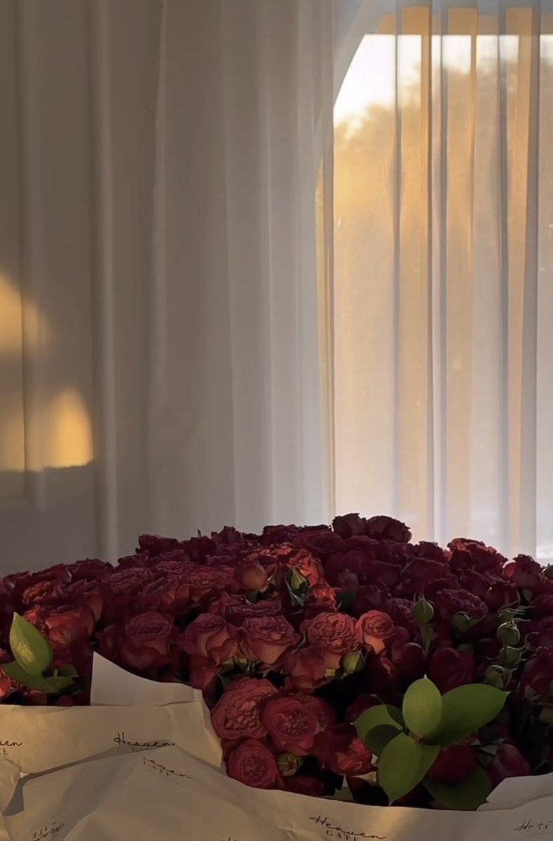 صباح الحُبّ .. للذين شعرنا من فرط إحسانهم لنا أنّ الله يُحبنا .

#صباح_الخير