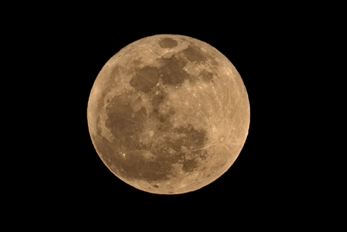 @NatGeoPhotos @NASAMoon @CNN @BBC @ABC @NBCNews @GarofaloWX @NWSPhoenix @abc15 @12News @azfamily @FOX10Phoenix 
@LRO_NASA @nasahqphoto @NASAHubble @asuastroclub  @LowellObs @NASA_Lunar @LunarCrush @NOAA @NOAASatellites The Pink Moon from Phoenix AZ tonight.