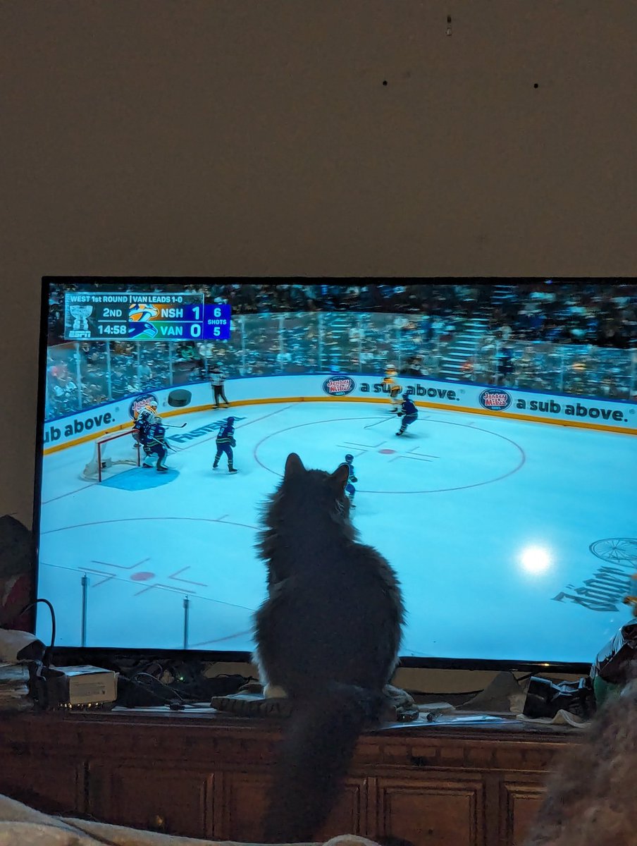 My cat watching <a href="/PredsNHL/">Nashville Predators</a>
