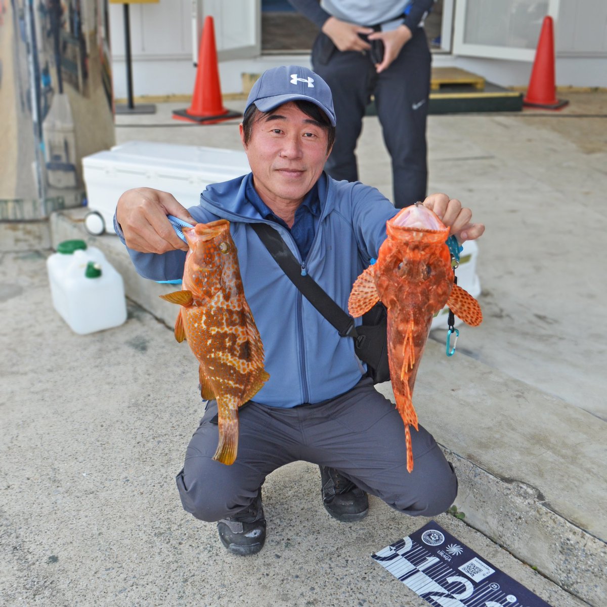 yamataka6's tweet photo. 先週土曜日の浦賀からの釣行
真鯛狙い。
浦賀航路南の真鯛船団の後方で邪魔にならないように船を流してました。
潮が早くタイラバはリールを巻かず、つまりトローリング。
同行者が良型鬼カサゴをゲットしてびっくり。水深40メートルなのに。あと、良型キジハタも。
私は、、船長に専念してました。 https://t.co/74DeDuAnS2
