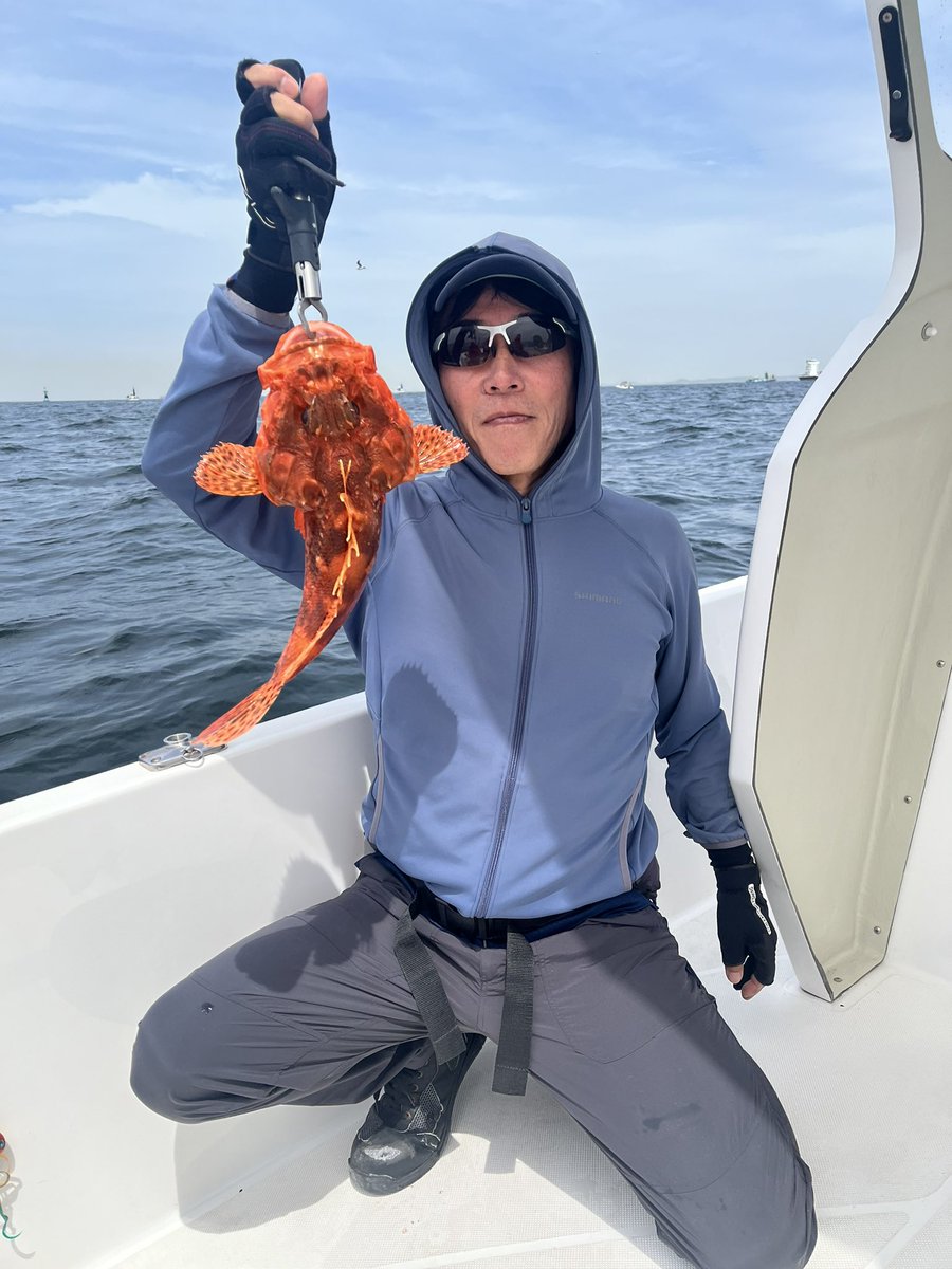 yamataka6's tweet photo. 先週土曜日の浦賀からの釣行
真鯛狙い。
浦賀航路南の真鯛船団の後方で邪魔にならないように船を流してました。
潮が早くタイラバはリールを巻かず、つまりトローリング。
同行者が良型鬼カサゴをゲットしてびっくり。水深40メートルなのに。あと、良型キジハタも。
私は、、船長に専念してました。 https://t.co/74DeDuAnS2