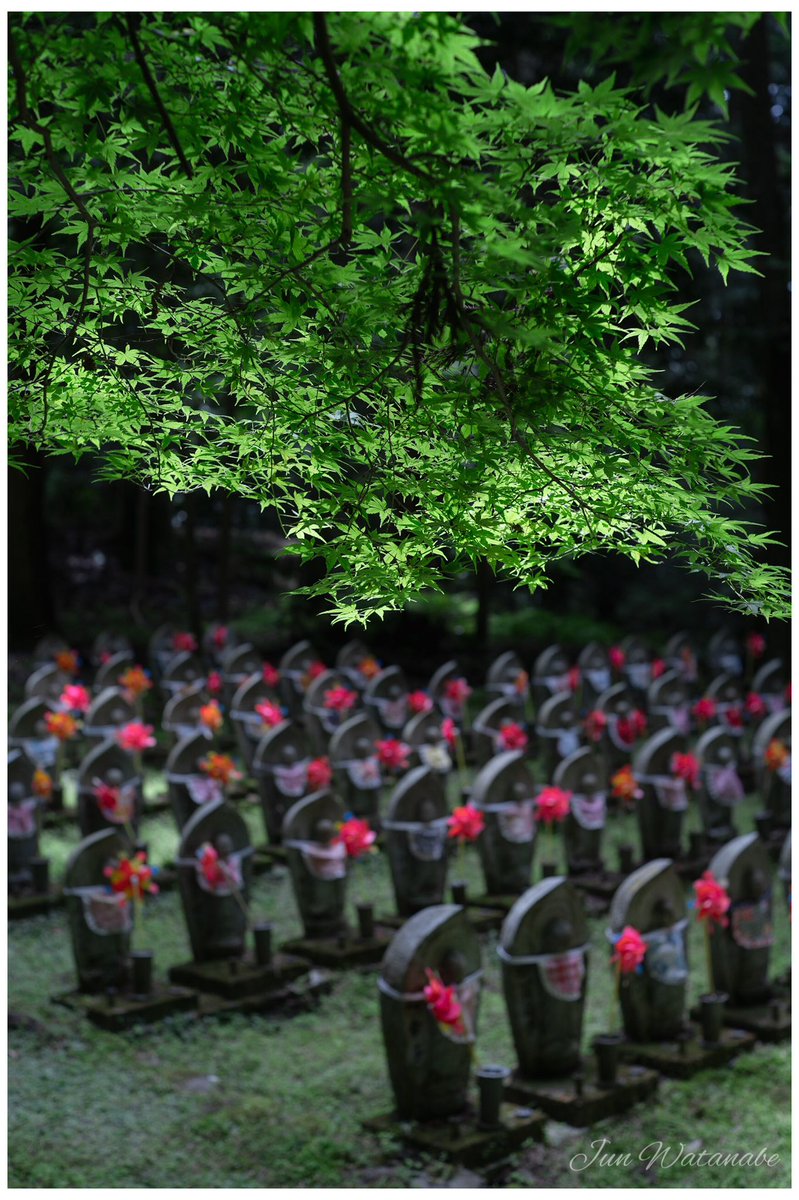 Camera:SONY α7III
Lens:LEICA SUMMILUX-M 50/1.4 2nd

#temple #landscape #landscapephotography #photograghy #oldlens #leica #leicaphotography #summilux #寺 #滋賀 #オールドレンズ #写真好きな人と繋がりたい #カメラ好きな人と繋がりたい #キリトリセカイ #ファインダー越しの私の世界