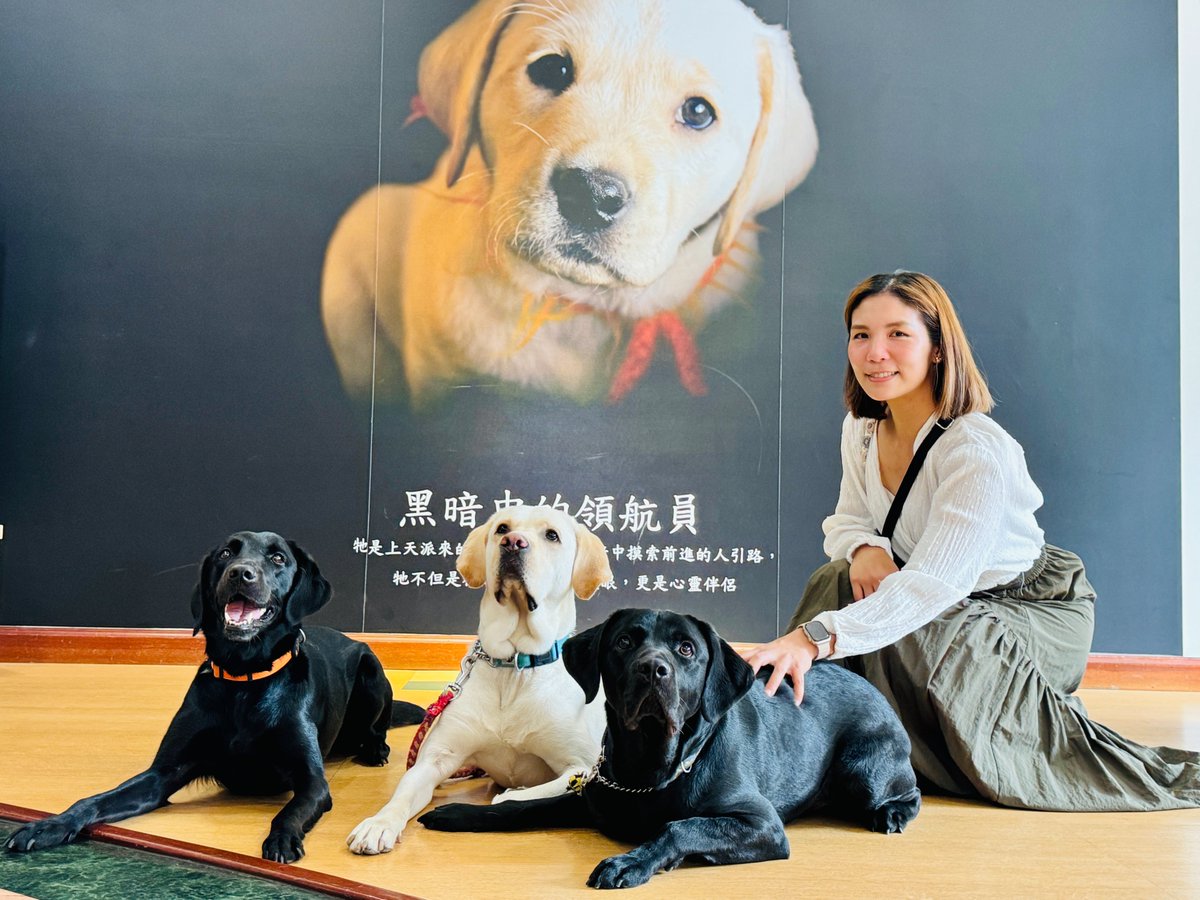 #InternationalGuideDogDay
Tamsui Historical Museum invited #guidedogs and their trainer to share the training process to understand guide dogs better. When seeing a guide dog on duty, remember: no feeding, no touching, no calling!