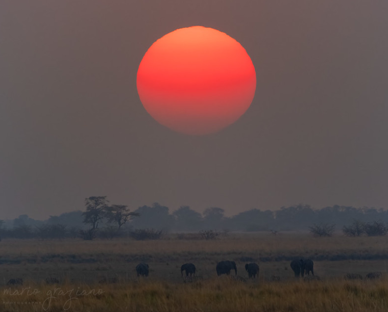 Sunset
Botswana

©️ Mario Graziano