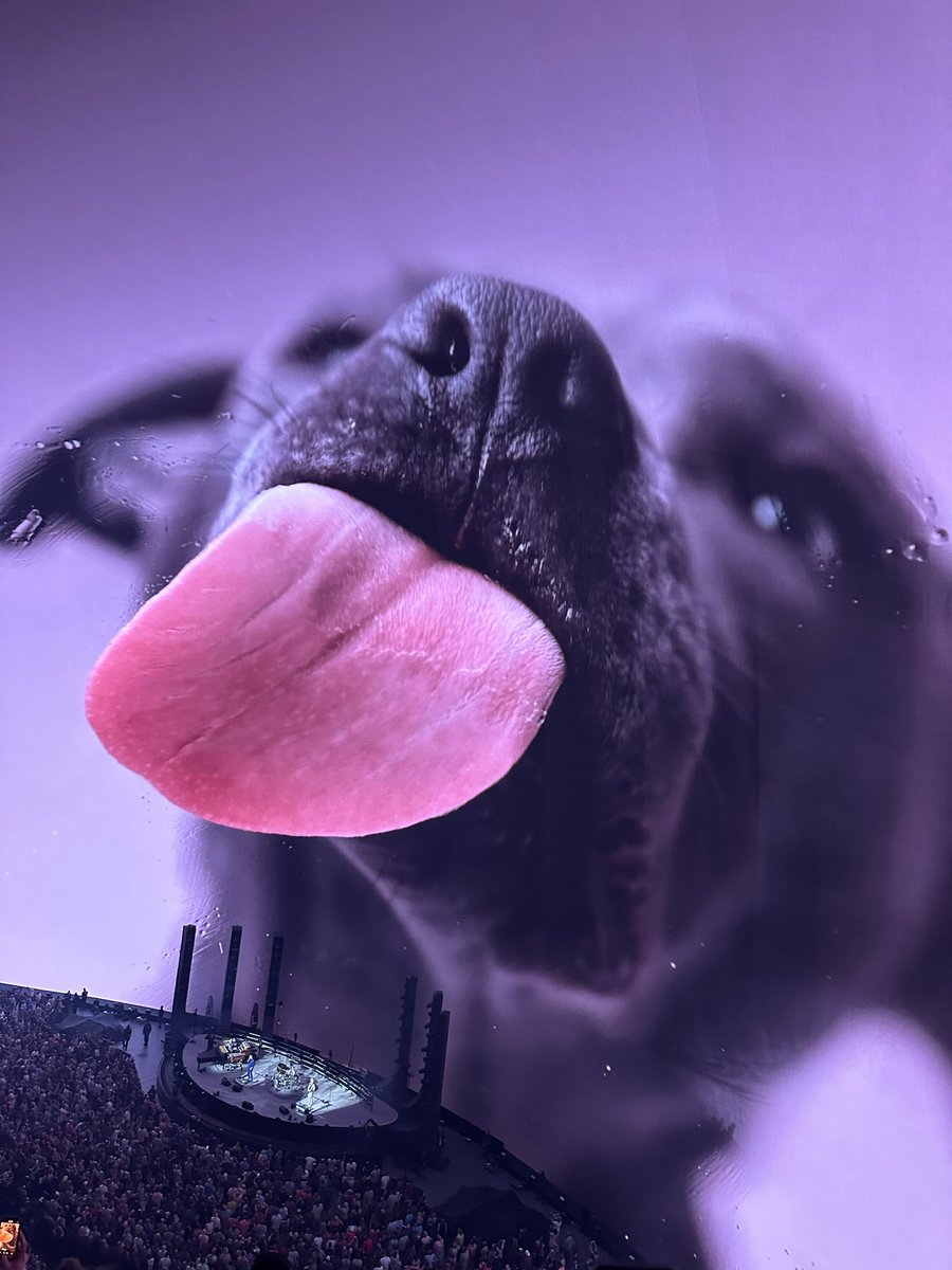 #1 Braddad tweet media