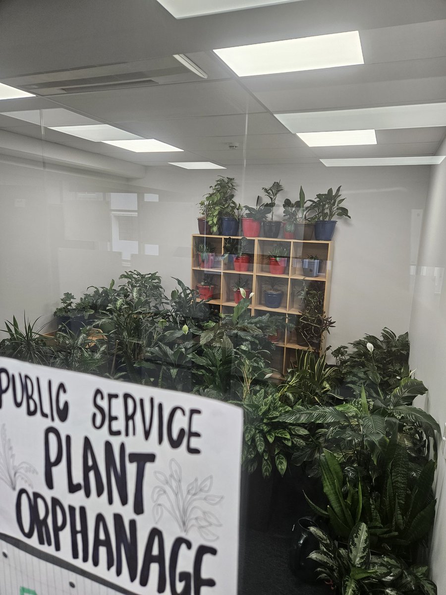 The @nzteu Wellington office is currently home to many of the plants who lost their homes in the public service cuts... at what point do we say enough is enough 😭