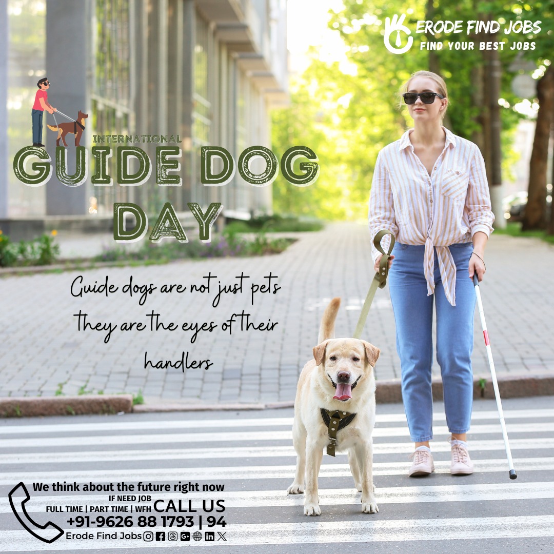 Erodefindjobs's tweet image. International Guide Dog Day..!

#guidedogs #guidedog #guidedogsfortheblind #dogs #dogsofinsta  #frenchiepuppy #securitydogs #erodejobs #itjobs #wfh #wfh2024 #wfh24 #officejob #officejobs #hiring #jobsearch #accountantjobs #jobsearching