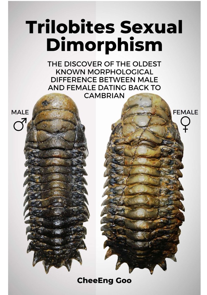 @legaltweetz The biological science of taxonomy reduces organisms to their common features to understand their evolution and development. You share few features with the trilobite on the right beyond development yielding large gametes. Sex-denialism is even dafter than evolution denial.