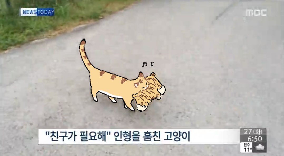 호랑이는 친구가 필요해

#호시