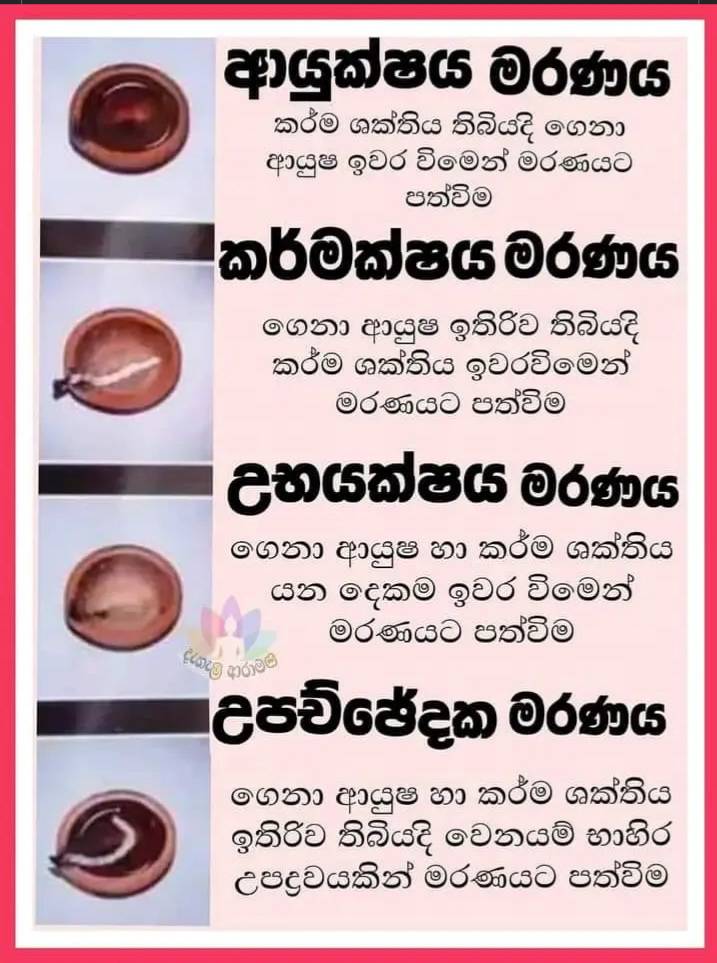 මරණයට හේතු බුද්ධ ධර්මයේ විග්‍රහ කර තිබෙන ආකාරය.