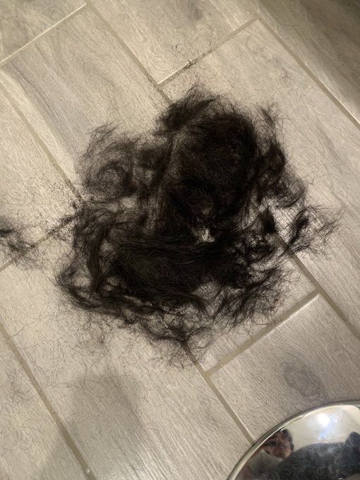 Something happened today https://t.co/hYXOA9YiVV