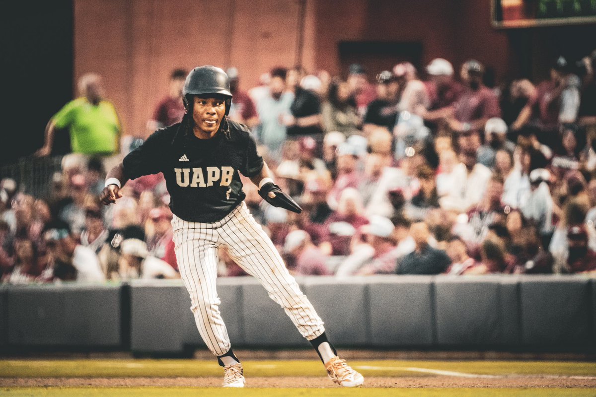 𝐆𝐨𝐥𝐝𝐞𝐧 𝐋𝐢𝐨𝐧𝐬 𝐁𝐚𝐬𝐞𝐛𝐚𝐥𝐥 ⚾️ tweet media