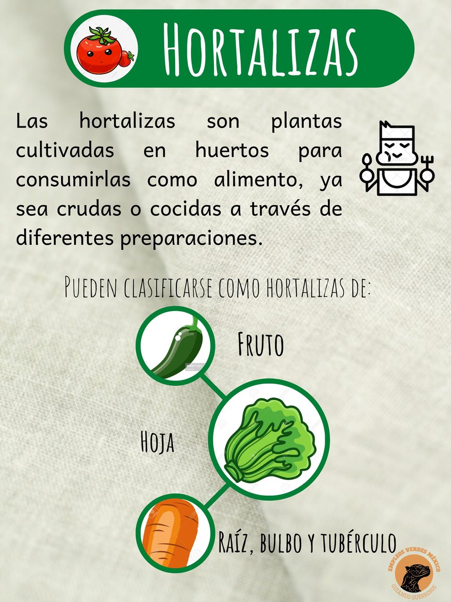 ¿Sabes qué es una #hortaliza?
🥦🥬🥒🌶🥕🥔 #EducaciónAmbiental #EmpleosVerdesMéxico #GuerrerosJaguar #medioambiente #EmpleosVerdes #ecologia #Sustentabilidad