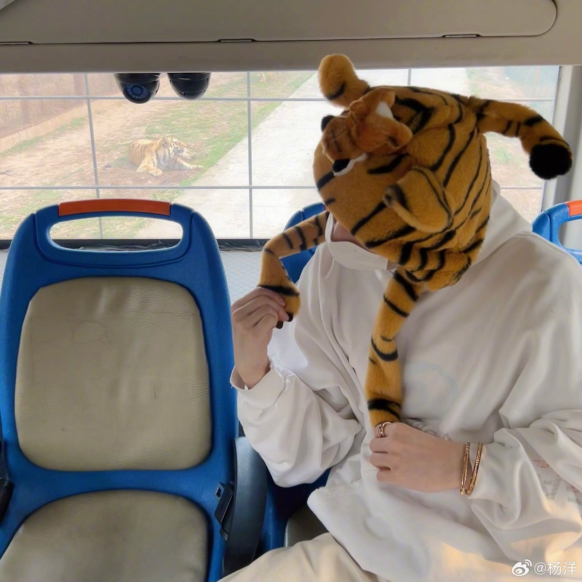 เสือตัวนี้น่ารักทิ้ซู้ดดด แล้วเสืออะไร ขายของเก่งด้วยนะ 🐯💗😁