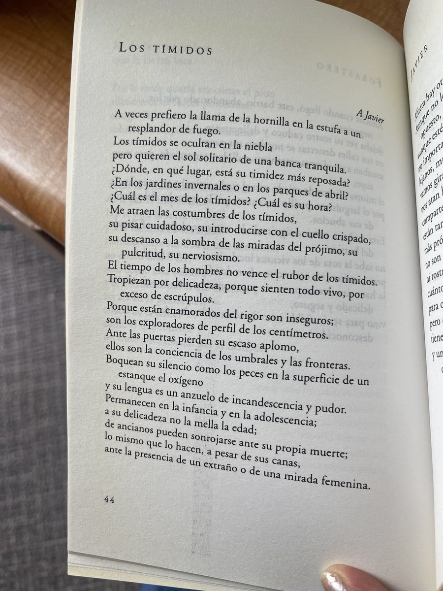 lulugonrom's tweet photo. Hoy que fue el #DiaDelLibro2024 🥳🥳🥳comparto este poema🥰
#timidos
#poemas https://t.co/lsoW3PlVQN
