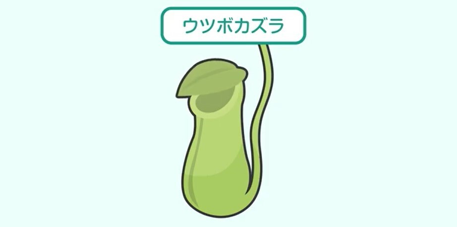 🔍研究開発秘話🔎 #バイオミメティクス ってご存じですか？ 実は花王は、食虫植物のウツボカズラに着想を得た、常にすべる表面をつくる技術を開発し、モノづくりの現場をサポートしていきます。 研究員に開発秘話を聞いてきました！ prtimes.jp/story/detail/A…