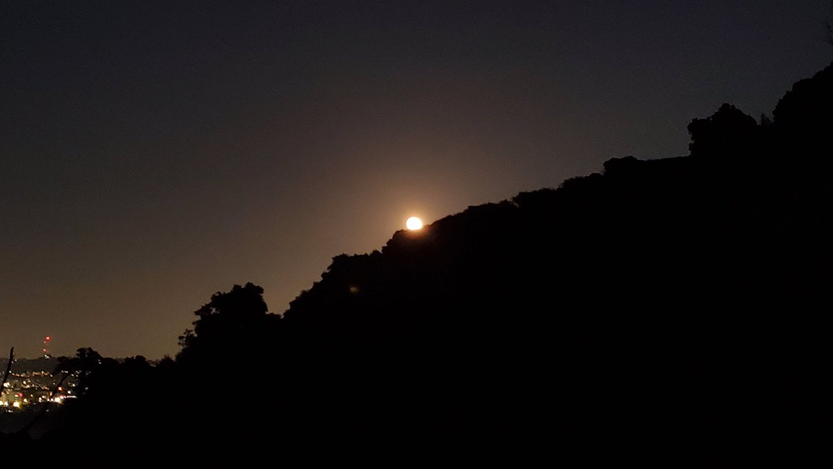 The real star of tonight's night hike was this month's #fullmoon making its entrance! 🌕

#PinkMoon #GriffithPark