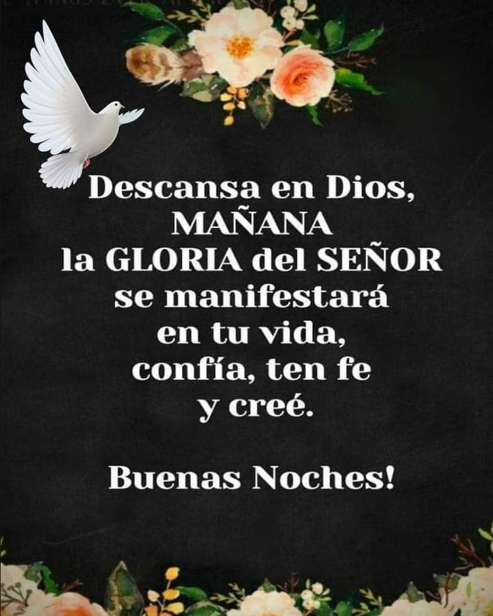 Sebastián Garcia Guerrero tweet media