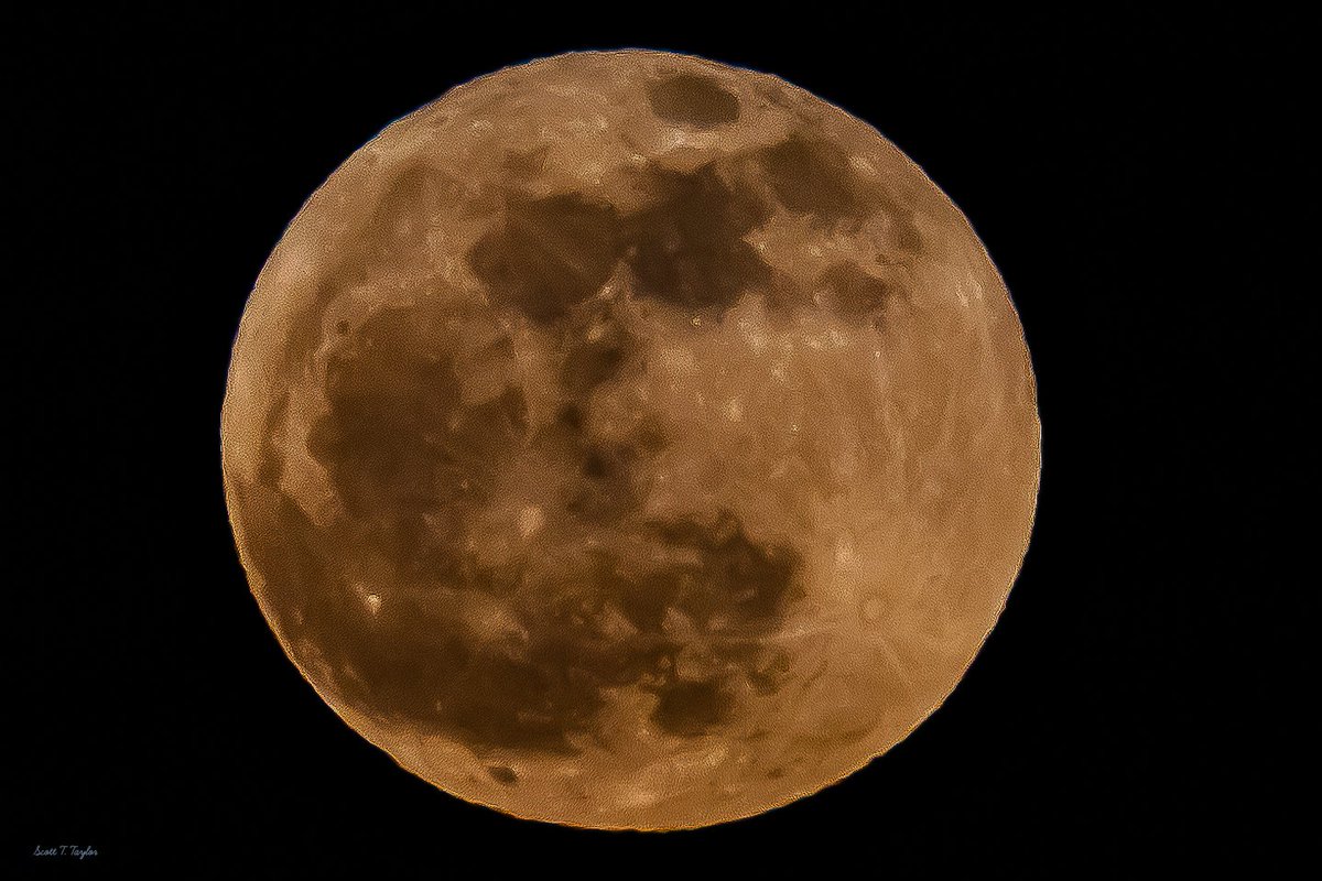 Grallon's tweet image. Pink #fullmoon rising over the #Wasatch #mountains 🌝  ⛰️
📷 Canon EOS RP 
 #utah #moon #PinkMoon @abc4utah @ThePhotoHour @KSL5TV @natwxdesk @KUTV2News @CanonUSA @fox13 @Storyful @NASA @GovCox @RD_Utah @Reuters @StoryfulNews @UtahIsAwesome
