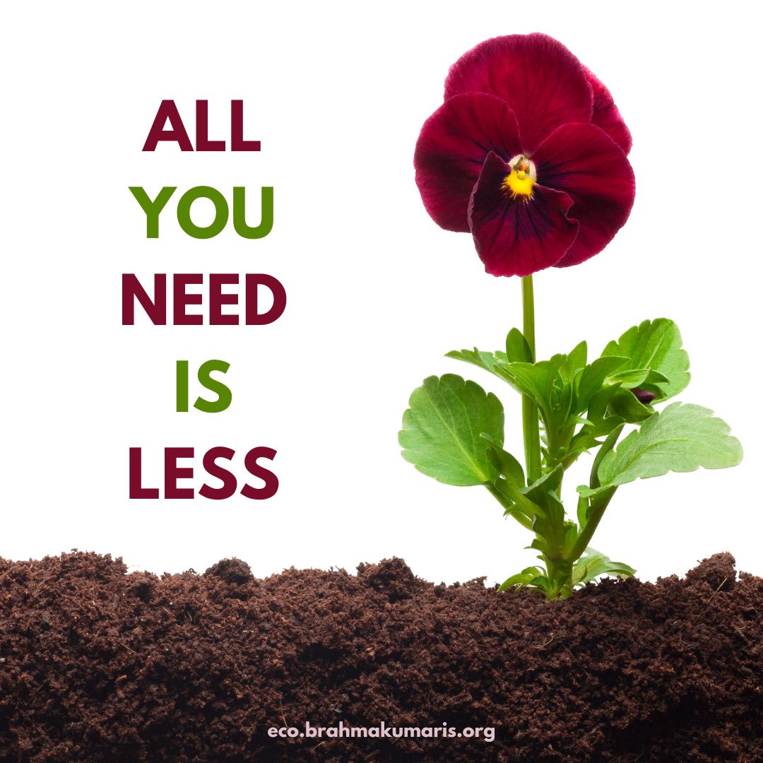 All you need is Less. 

#ClimateAction
#EarthDay
#environment 

#ecobrahmakumaris