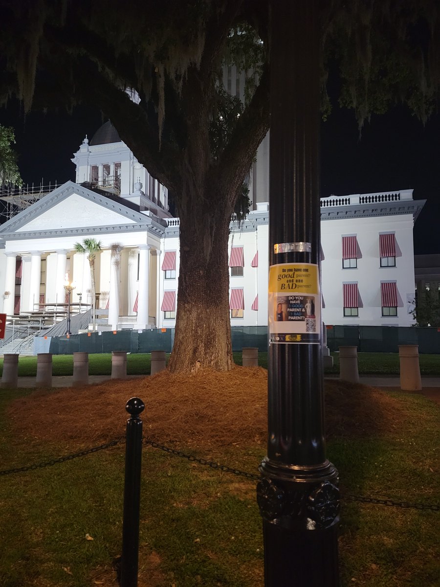 The state capital in Tallahassee Florida. I’m blown away by the amount of people who’ve already sent me photos. It’s not even PA day yet!
#thursdaychallenge #parentalalienation #childrenarethefuture #flyers #ChallengeAccepted #SilentNoMore