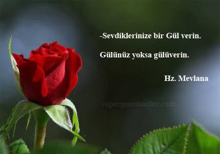 Sen gülersen gül açılır yaz olur Sen ağlarsan hayat karlı dağ olur Dost elinden zehir olsa bal olur Zehrine balına kurban olayım

Yüce dağ başında karlar erimez Sevenin gönlünde güller kurumaz Gitme gurbet ele de geri dönülmez Yurduna eline kurban olayım.