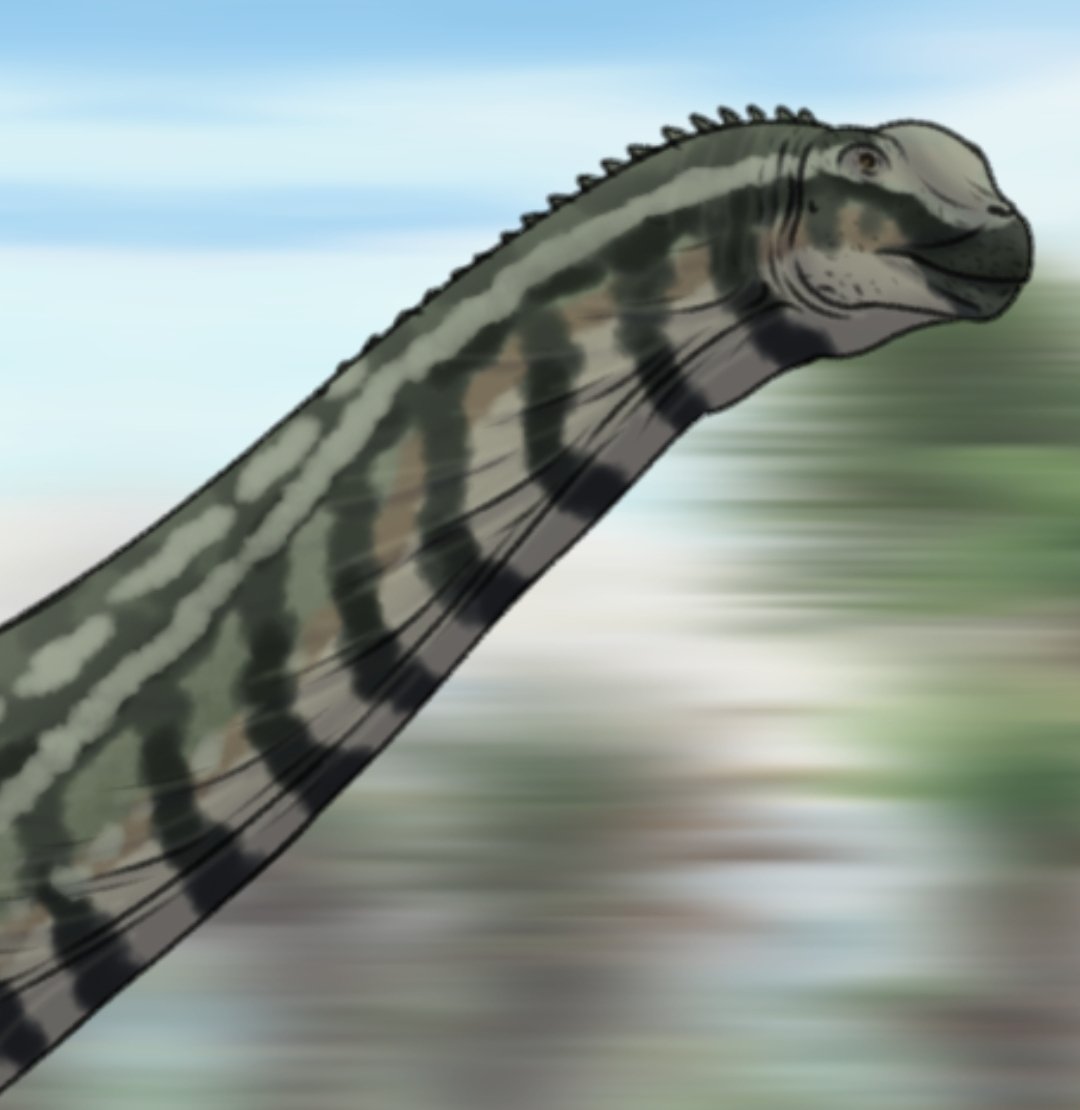 Camarasaurus

#paleoart #paleoarte #camarasaurus