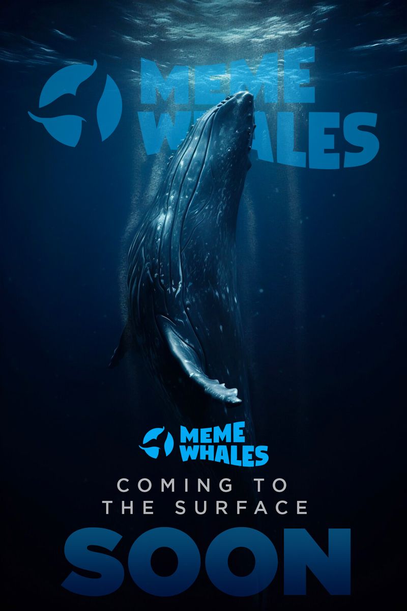 🐳Meme-Whales Collective🐳 tweet media