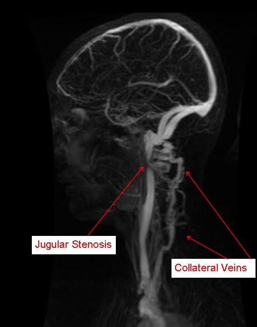 SammyJo Wilkinson tweet media