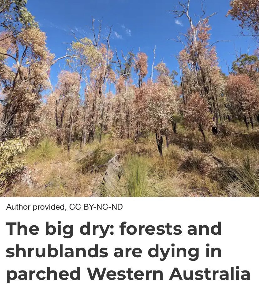 The cognitive dissonance in Western Australia today. WA had its hottest summer on record, triggering a potential “forest collapse” due to climate change Fossil fuel co @WoodsideEnergy holds its AGM, boasting annual underlying net profit of $5 billion Their profit, our loss