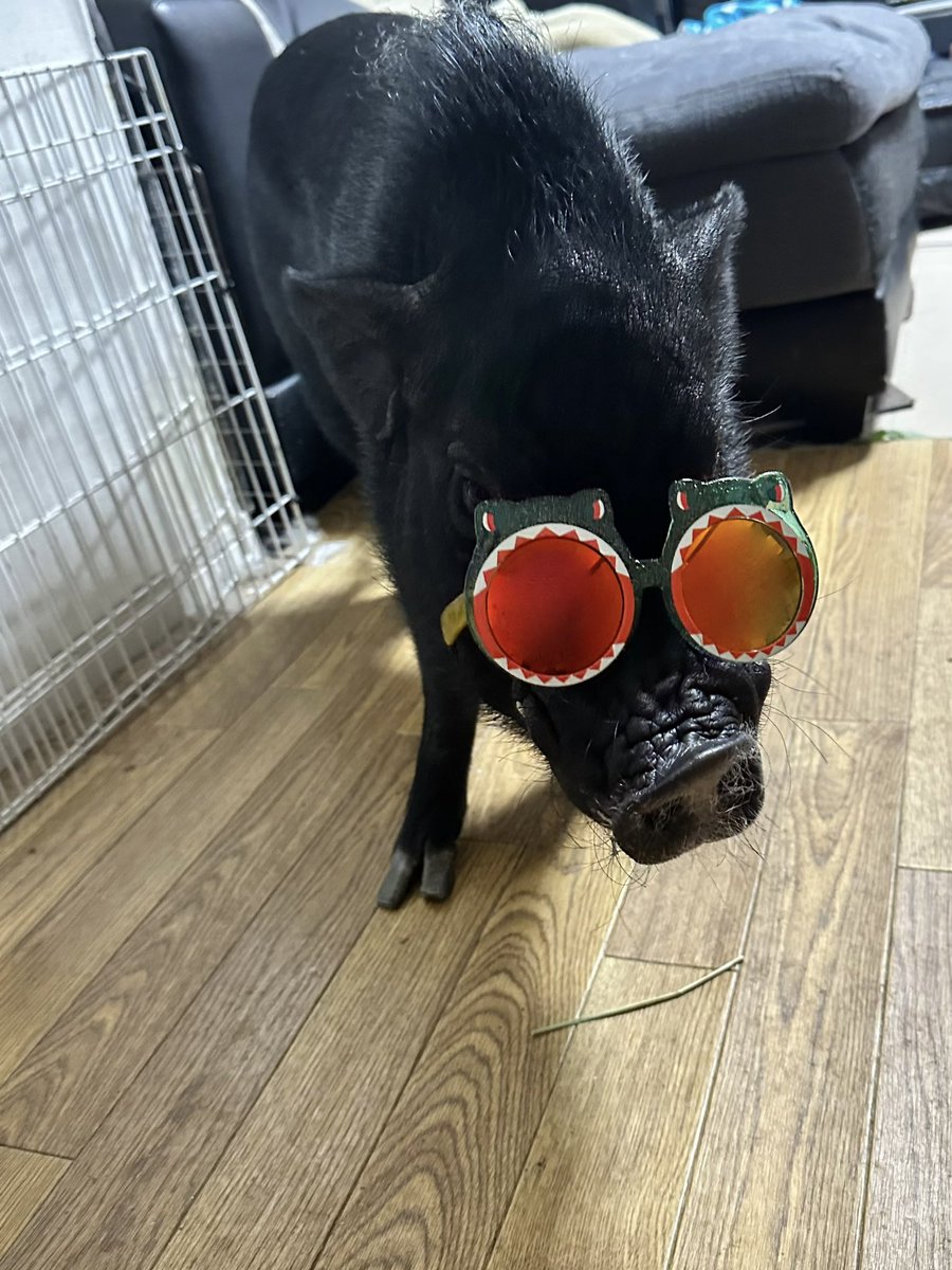 とんかつ tweet media